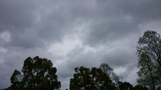 O-50グリーンカップ