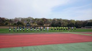 【Ｏ－５０】グリーンカップ 其の三