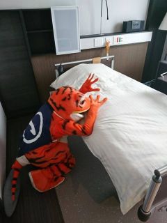 【選挙のため中止】通常練習