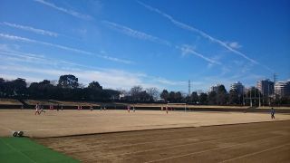 パラダイスリーグ