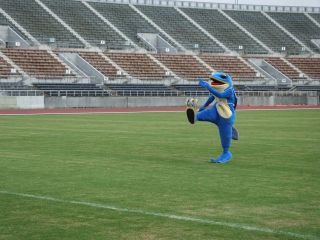 【中止】通常練習