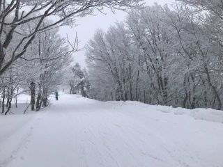 スキーin蔵王温泉