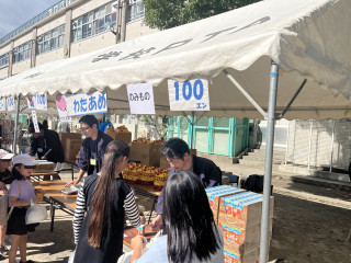 2024年度活動の振り返り