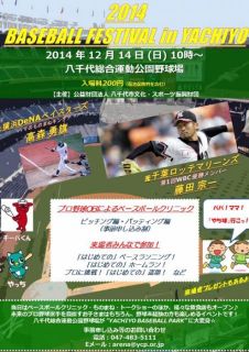 BASEBALL FESTIVAL IN YACHIYO