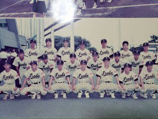 甲子園大会中止