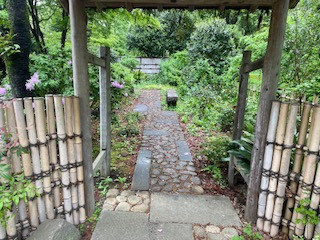 相模原公園植栽管理