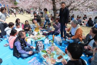 お花見（妙法寺川公園）