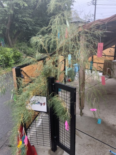 願いが叶いますように