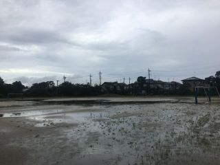 本日の練習(4,6年生)