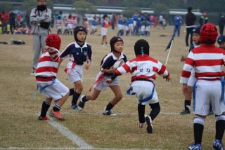 第３１回　四国ラグビースクール大会