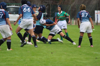 第 3 4 回 ミ ニ ラ グ ビ ー フ ェ ス テ ィ バ ル i n 美 作