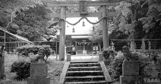 ツールドしものせき2015