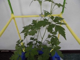 夏休みスタート！