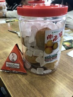春休みだよ！梅講習会