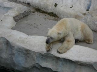 上野動物園遠足