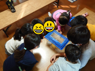 カマキリ飼育しました!