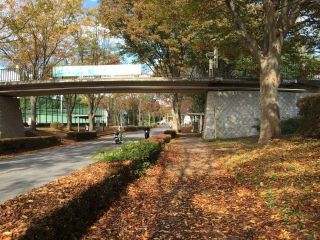 つくばマラソン に向けて マラソンの母から① アドバイス