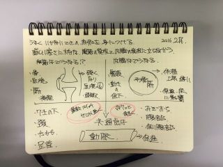 大切なのは、血流を良くすること