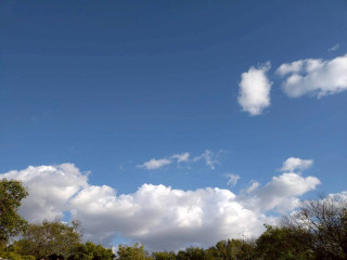 野外音楽フェスティバル in 矢倉緑地