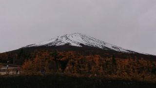 プリンシパルの もりやん デス。