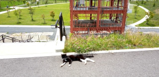 ★前を向いていくよ