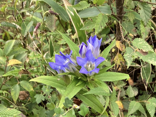 通常練習　定演練習スタート！