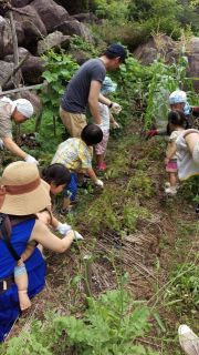 石カフェ＋アワアワさんと遊ぼう！