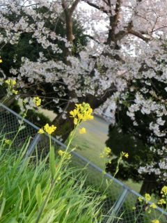 春だ！自主練もにぎやかに♪