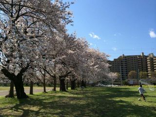 郵政グラウンド練習