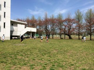 郵政グラウンド練習