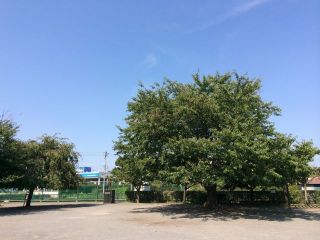 今日はオフです