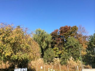 本日はGA戦(東京都フットサルリーグ)