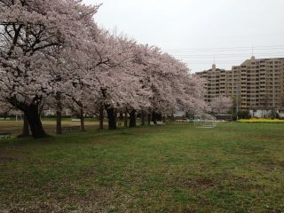 新一年生フィジカルチェック