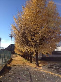 郵政グランド練習