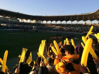 前育、注目の一戦制す