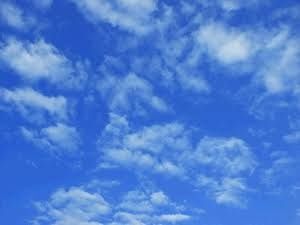 今日オーレ活動はオフ