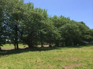 郵政グランド練習＆草刈り