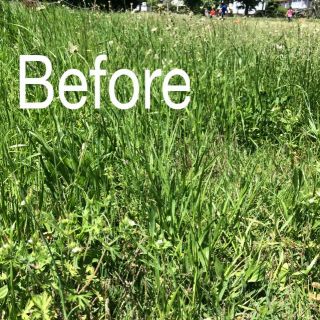 草刈り前後