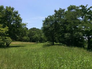 本日はサテライトリーグ及び二部リーグ