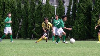 Tリーグアルバム