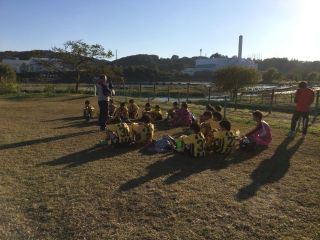 選手権三鷹FA戦