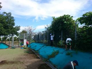 今日のMMTC 紅白戦