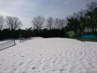 舐めちゃいけない❗