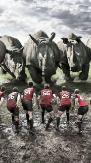 ラグビーが『特別』な理由