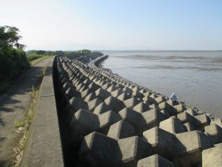 不知火海岸清掃