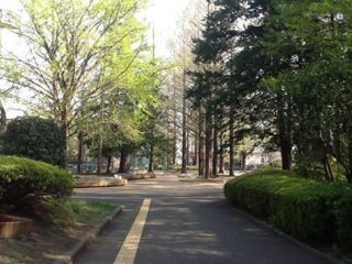 日本ろう者テニス協会強化合宿