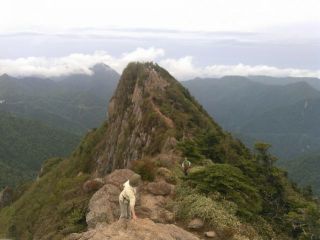 福田様よりご報告いただきましたので掲載します。