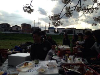 歓迎親睦会(花見)