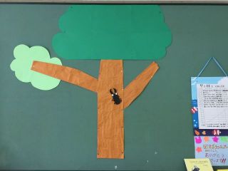 整理活動(夏の装飾／絵本コーナー)