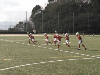 ぎんなんさん交流戦